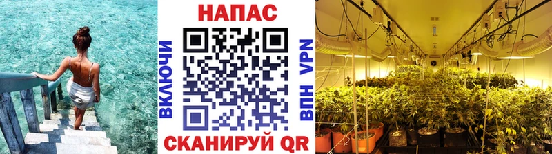 купить наркотики цена  Норильск  Бошки Шишки SATIVA & INDICA 
